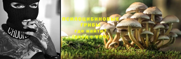 винт Переславль-Залесский