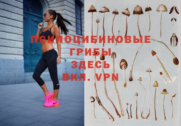 ешки Покачи