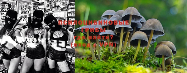 ешки Покачи