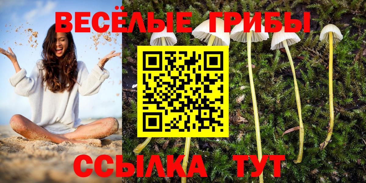 Галлюциногенные грибы GOLDEN TEACHER Котовск