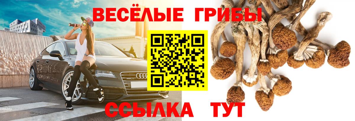 Галлюциногенные грибы Cubensis  купить наркотик  Котовск  Вход с VPN 